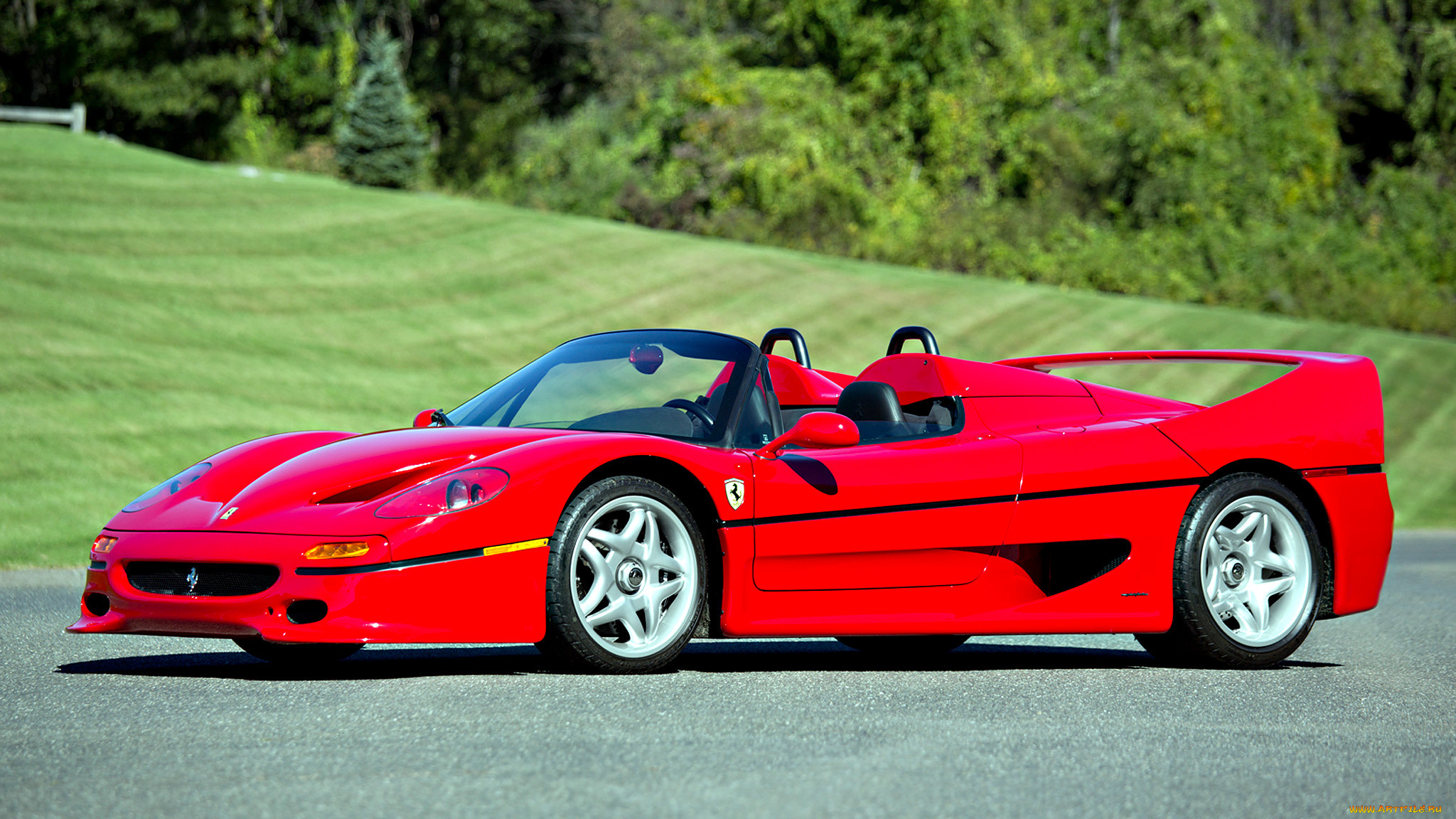 F 50